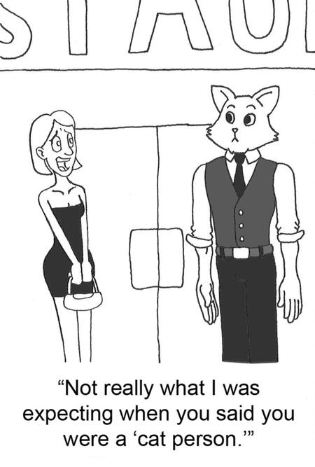 Not a Cat Person