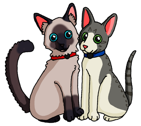 My cats, Marina and Pearl